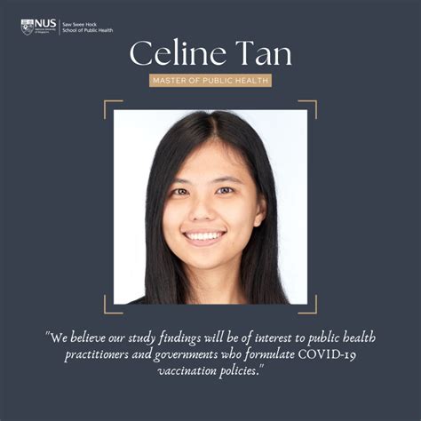 celine tan blue and black